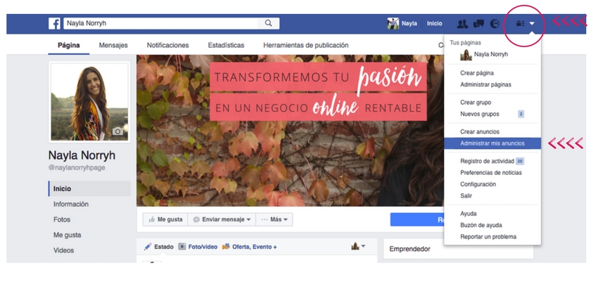Cómo usar Facebook Insights - Tutorial Paso 1