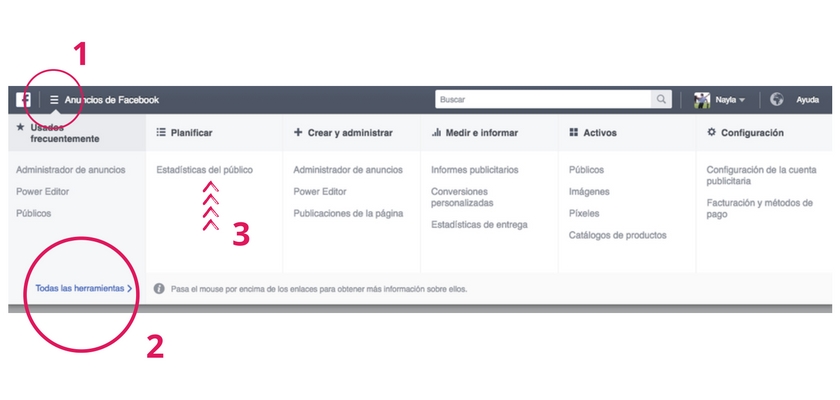 Cómo usar Facebook Insights - Tutorial Paso 3