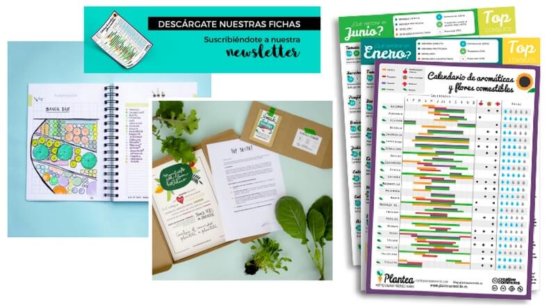 Enseñar para atraer a tu cliente ideal
