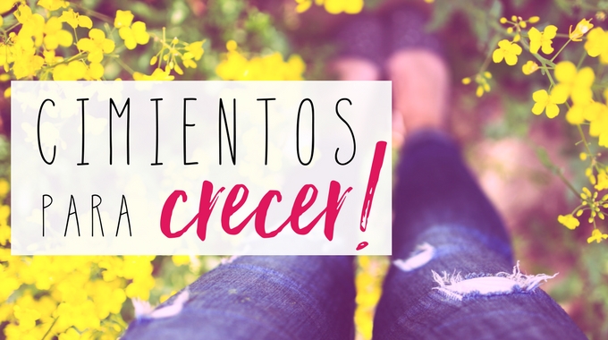 Cimientos para hacer crecer tu emprendimiento