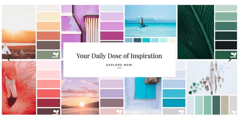 Inspiración de colores en DesignSeeds