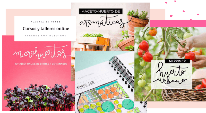 Ejemplo de Como Crecer tu Negocio con Cursos Online: Complemento de Productos